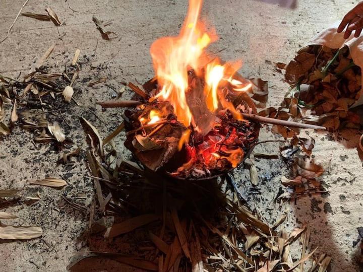 Sattva Farmstay Bengaluru Kültér fotó
