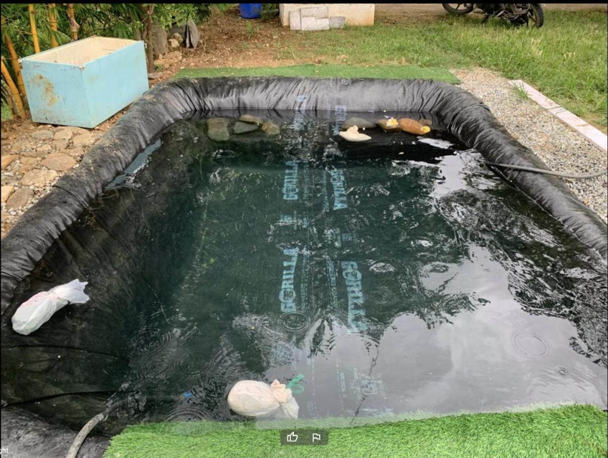 Sattva Farmstay Bengaluru Kültér fotó