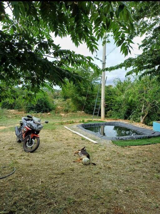 Sattva Farmstay Bengaluru Kültér fotó