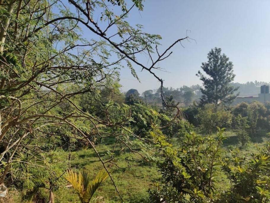 Sattva Farmstay Bengaluru Kültér fotó